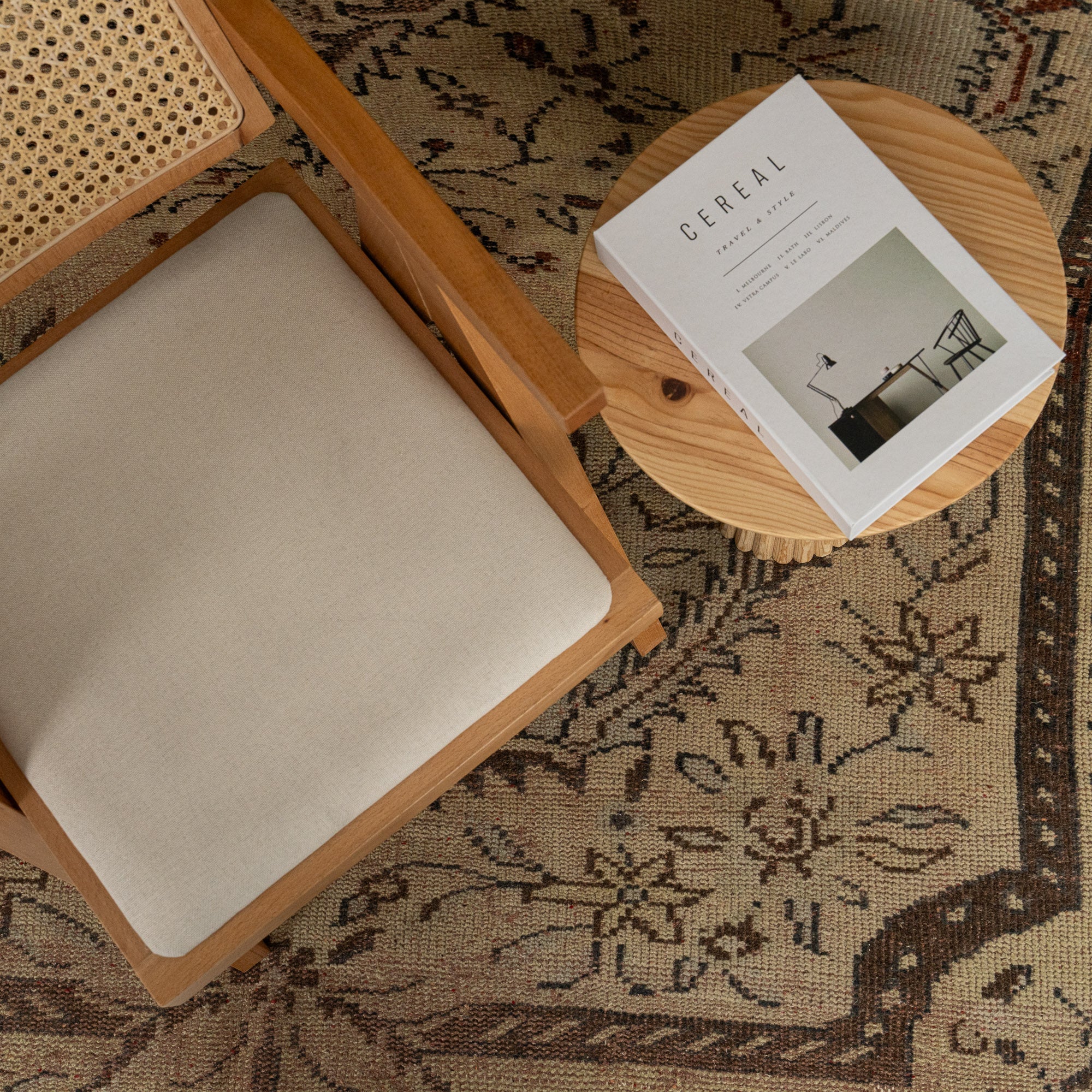 Erielle - Elegant Living Room Rug, Antique Charm