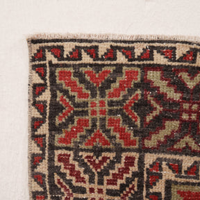 Allover 5x8 Area Rug