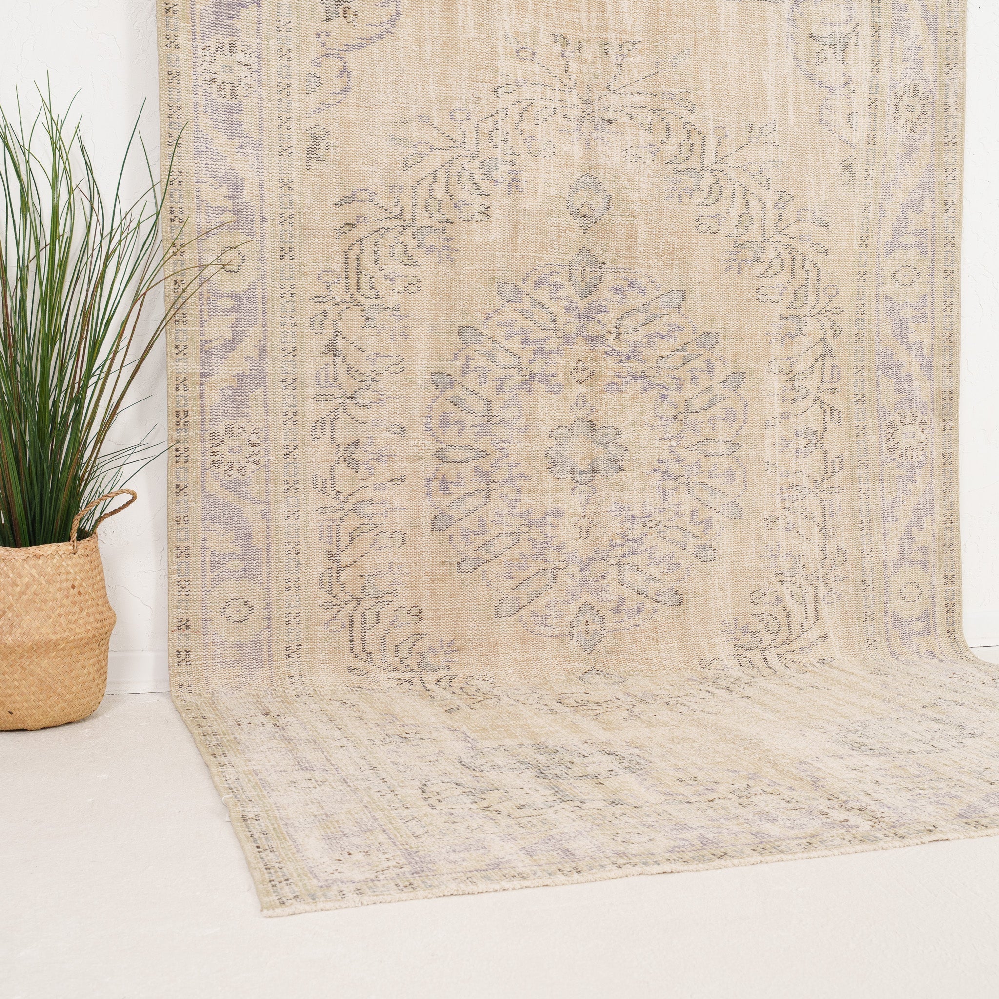 Beige and Blue Area Wool Rug