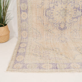 6x10 Persian Rug