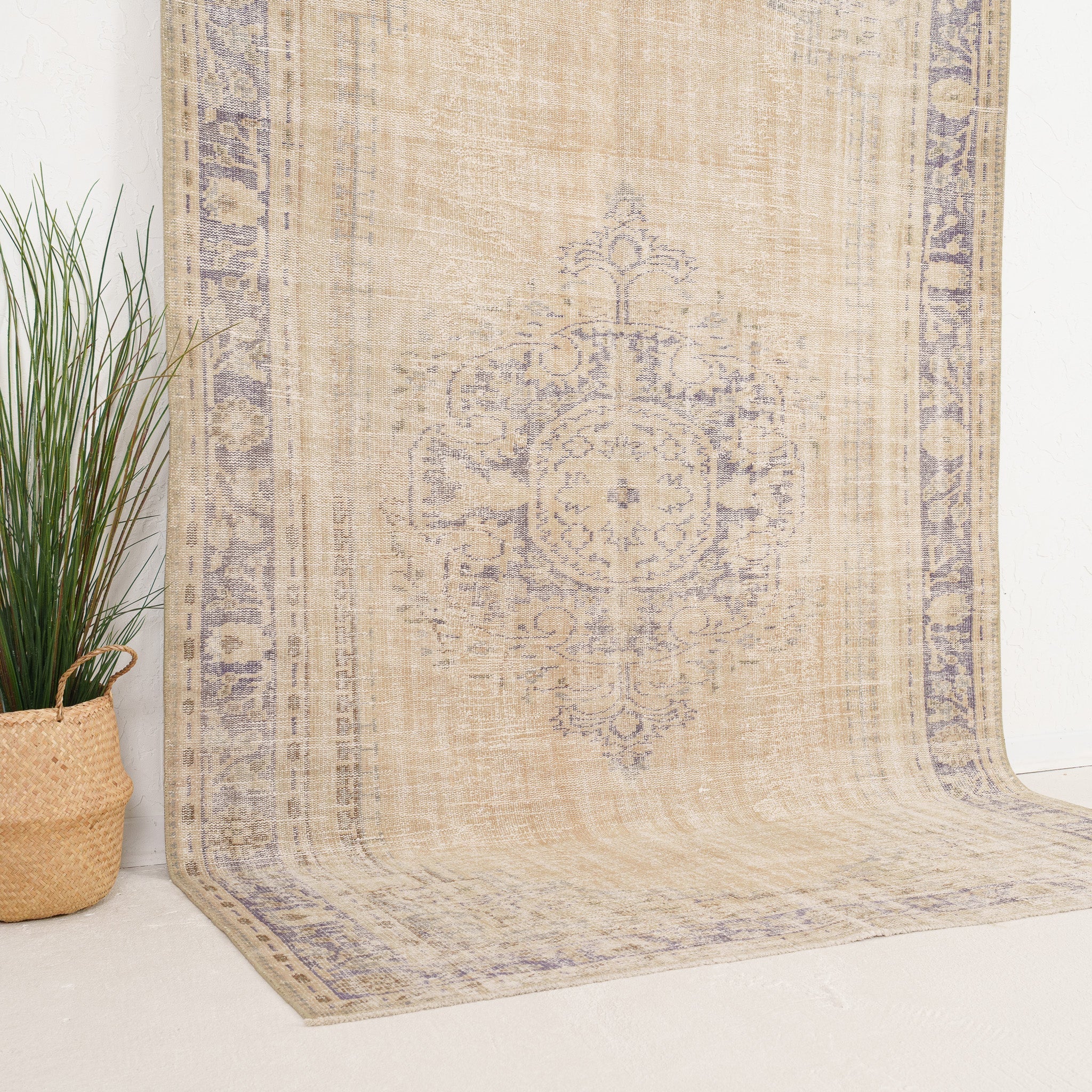Beige and Blue Area Wool Rug