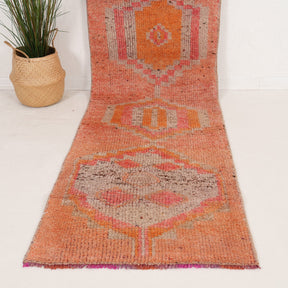 3x11 Persian Rug