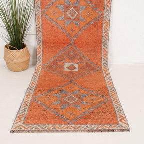 3x10 Persian Rug