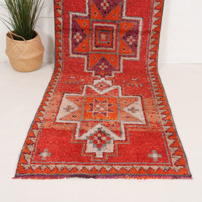 3x11 Persian Rug