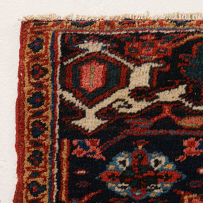 Allover 8x11 Area Rug