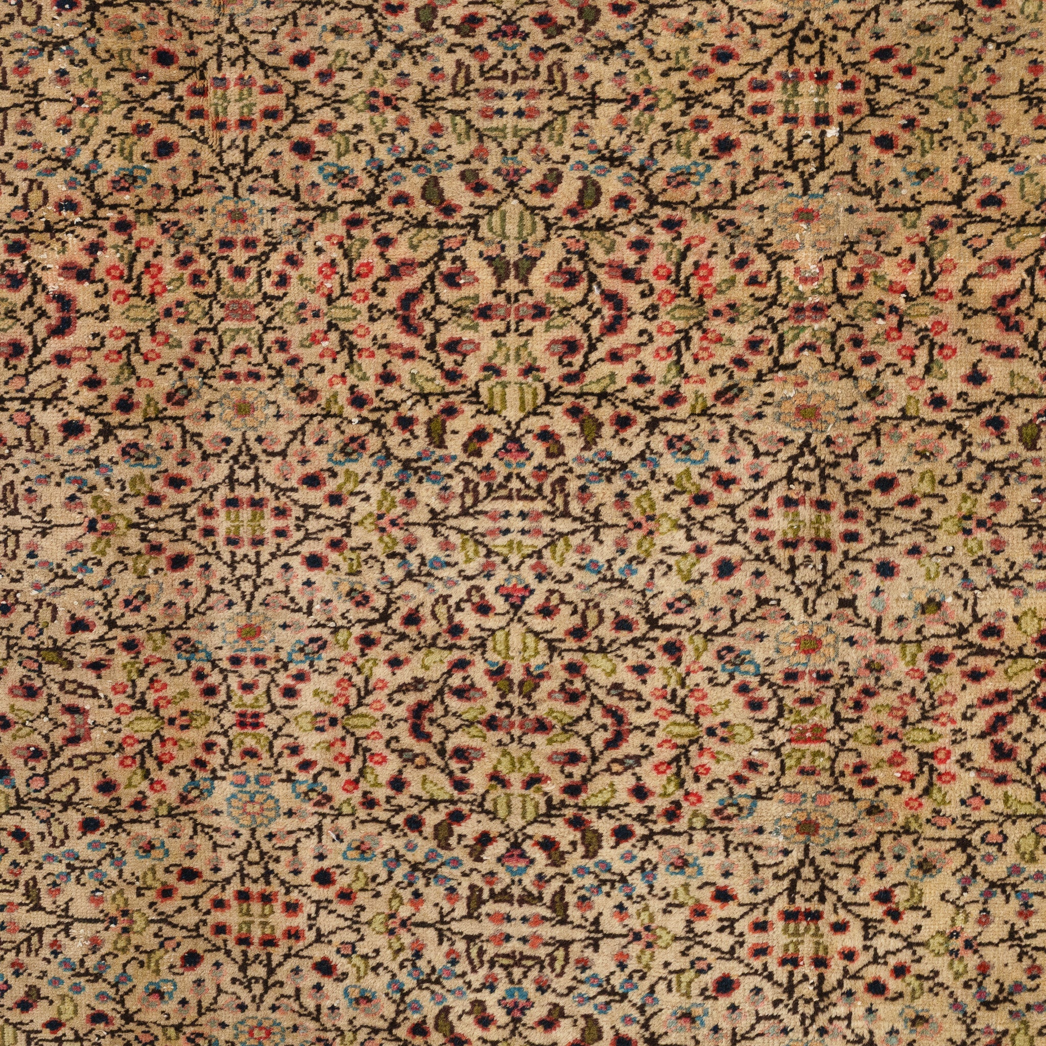 Green and Red Area Wool Rug