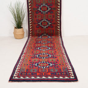 3x14 Persian Rug