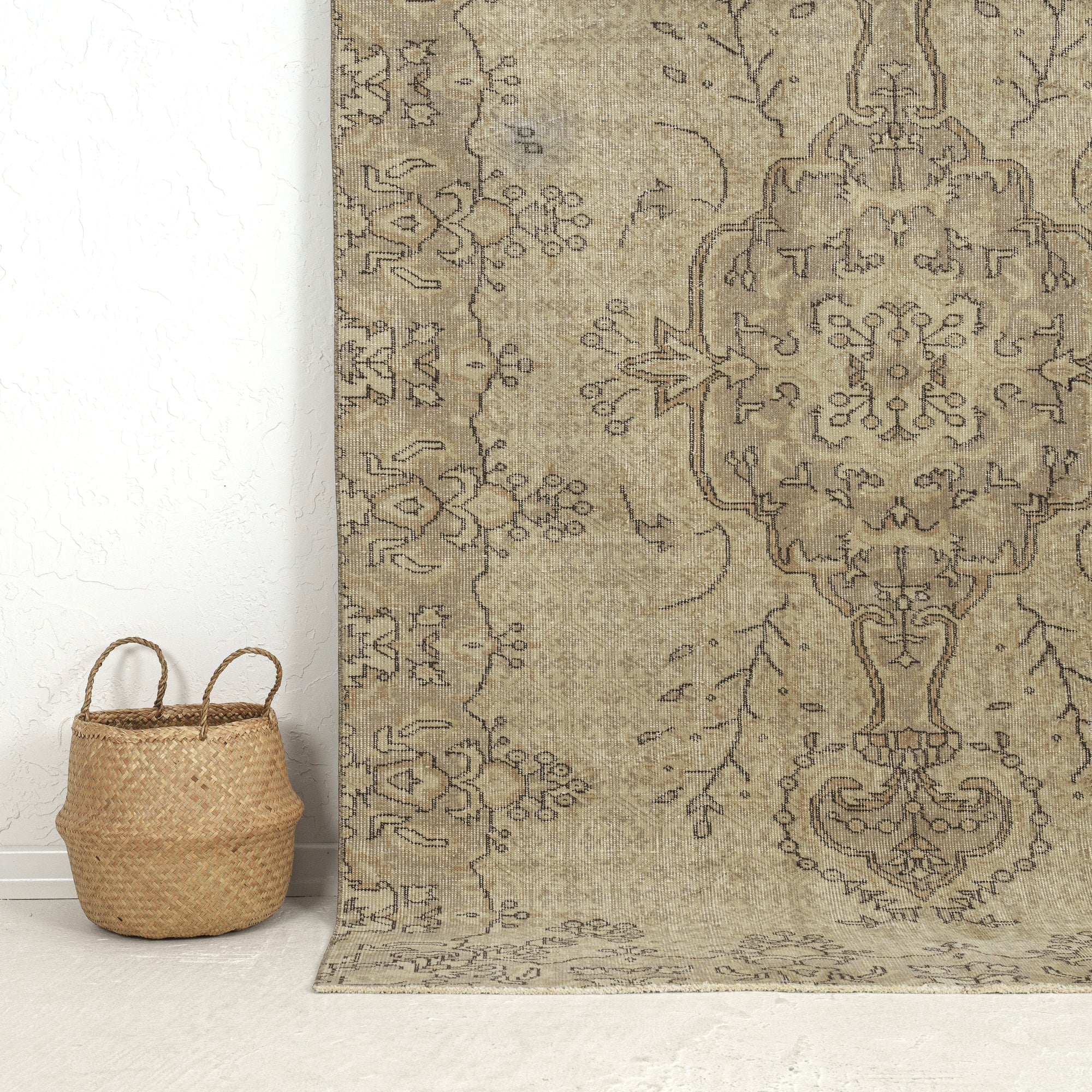 Briallen - Elegant Living Room Rug, Antique Charm