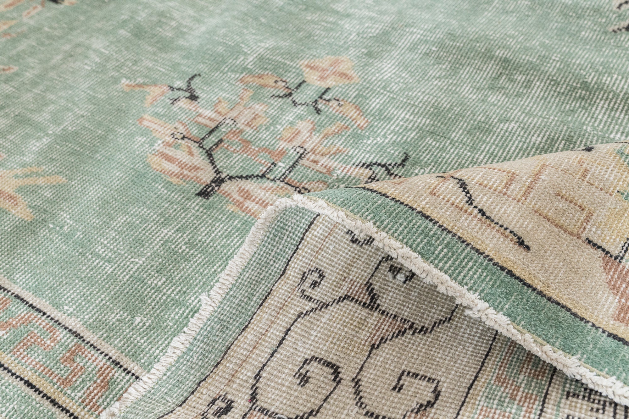 Paisleigh - Oriental Rug, Handcrafted for Luxury Living