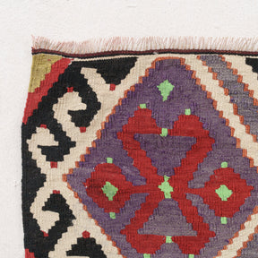 Waeliness - Vintage Turkish Area Rug