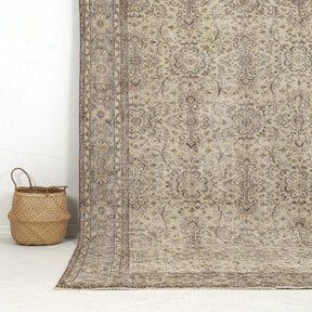 Authentic 6x10 area rug from turkish, in subtle beige tones