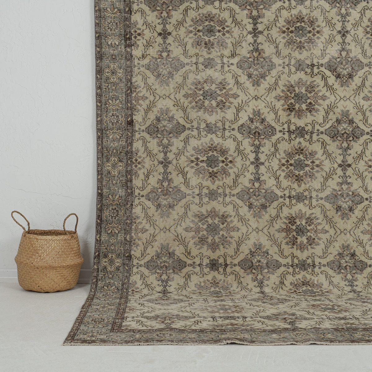 Authentic 6x10 area rug from turkish, in subtle beige tones