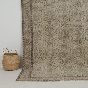 Authentic 6x9 area rug from turkish, in subtle beige tones