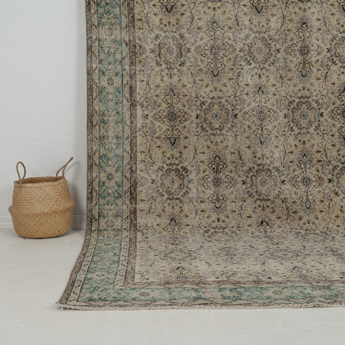 Authentic 6x10 area rug from turkish, in subtle beige tones