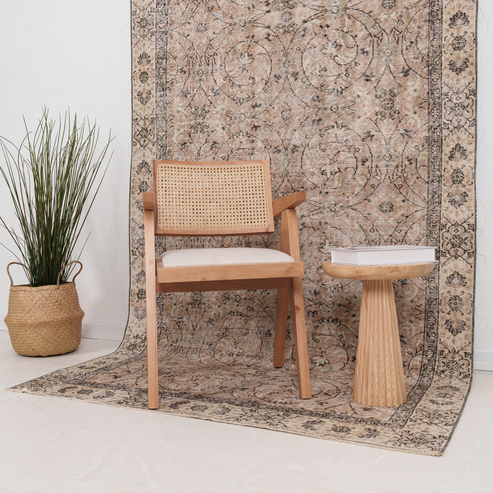 Anatolian Beige Area Rug