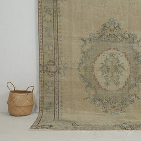 Authentic 7x9 area rug from turkish, in subtle beige tones