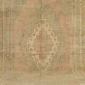 Authentic 6x10 area rug from turkish, in subtle beige tones