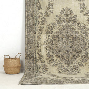 Authentic 6x9 area rug from turkish, in subtle beige tones