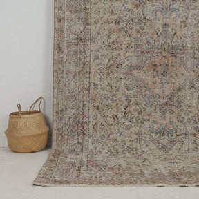 Authentic 6x9 area rug from turkish, in subtle beige tones