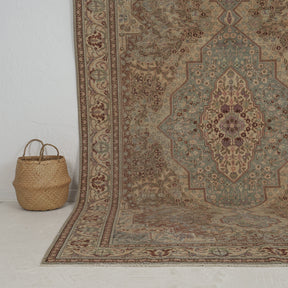 Authentic 6x10 area rug from turkish, in subtle beige tones