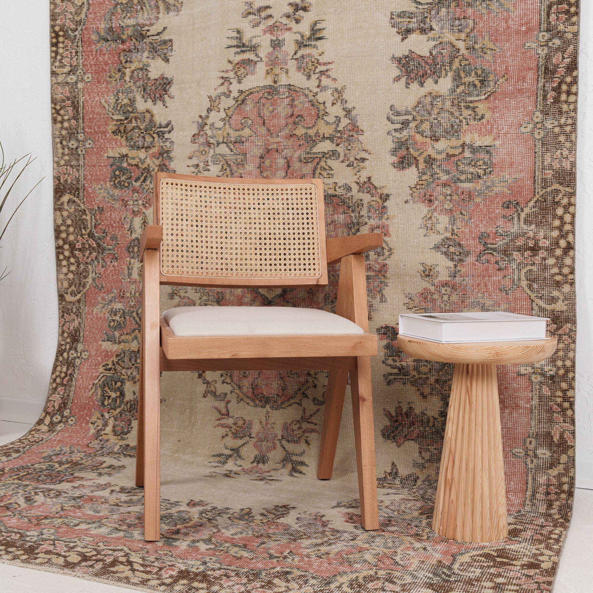 Anatolian Beige Area Rug