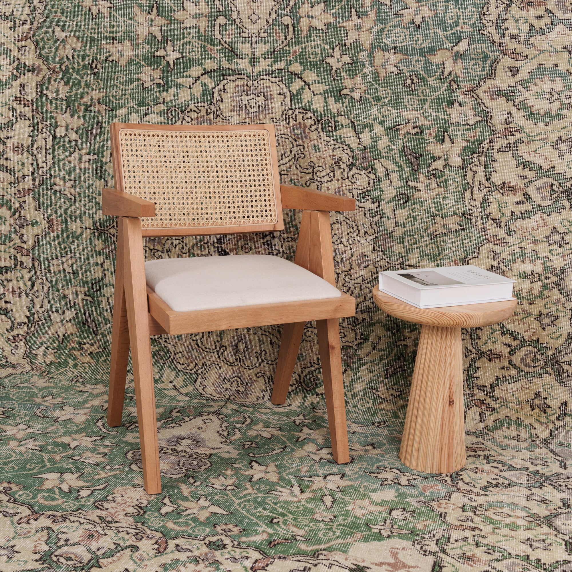 Anatolian Beige Area Rug