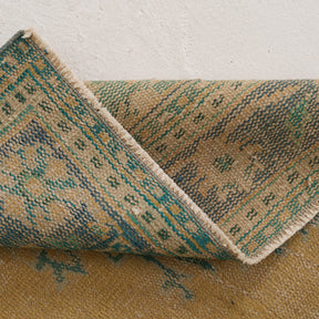 Oriental 6x9 Orange Rug