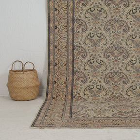 Authentic 6x10 area rug from turkish, in subtle beige tones