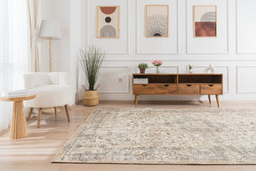 Page - Elegant Living Room Rug, Antique Charm